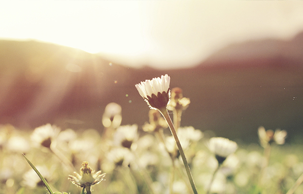 Heatsun_solar