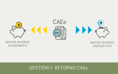 Gestión y retorno CAEs